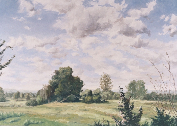 North Carolina artist J. Chris Wilson's Landscape Painting <em>Shambley Meadows, Chatham County</em> from "From Murphy to Manteo--An Artist's Scenic Journey"