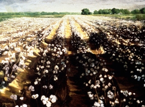 North Carolina artist J. Chris Wilson's Landscape Painting <em>Cotton Field with Shadows</em> see also "From Murphy to Manteo--An Artist's Scenic Journey"